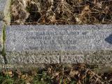 image of grave number 719042